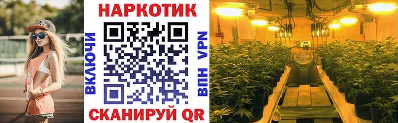 Купить наркотик аптеки Андреаполь ГАШИШ Alpha-PVP МЕФ Конопля