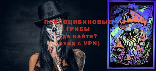 дурь Алексеевка