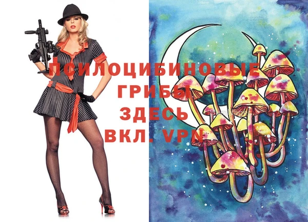 дурь Алексеевка